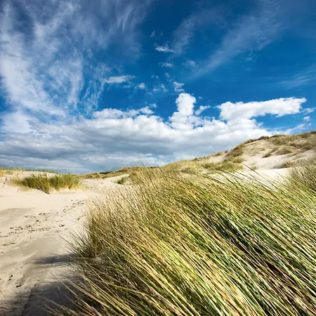 Apartment Ebbe&flut 4 A *